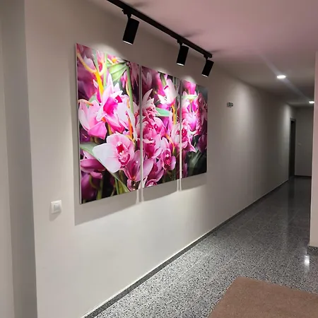 Sea Paradise Apartman Várna